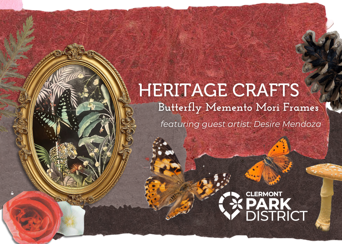 butterflymementomori2